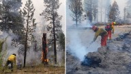 Avanza Control del Incendio Forestal en Ensenada; Hay Más de Mil Hectáreas Afectadas