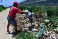 Muerte masiva de peces desata crisis en la Laguna de Tres Palos, Acapulco