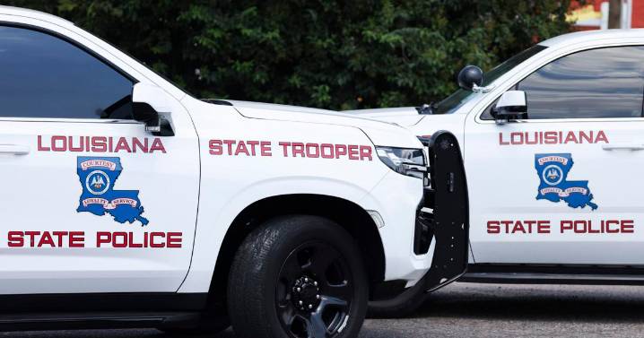 Trooper fires shot after driver reverses into patrol car during chase, Louisiana police say