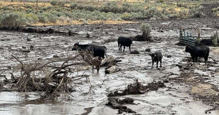 Lee fire in Colorado downsized, flash flooding photos