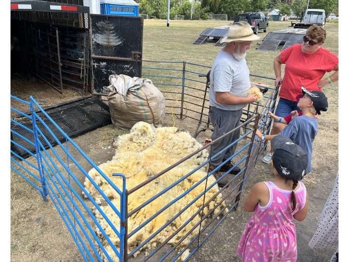 Chesterville Fair's 92nd edition adapts to the weather, crowds