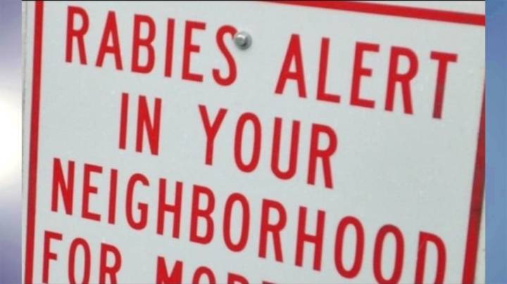 Rabies warning issued for Montgomery County