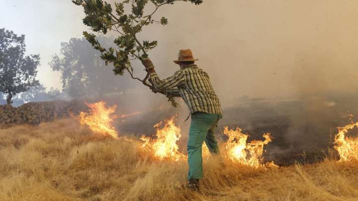 Salamanca, asolada por las llamas: el incendio de Cipérez obliga a evacuar a cuatro pueblos