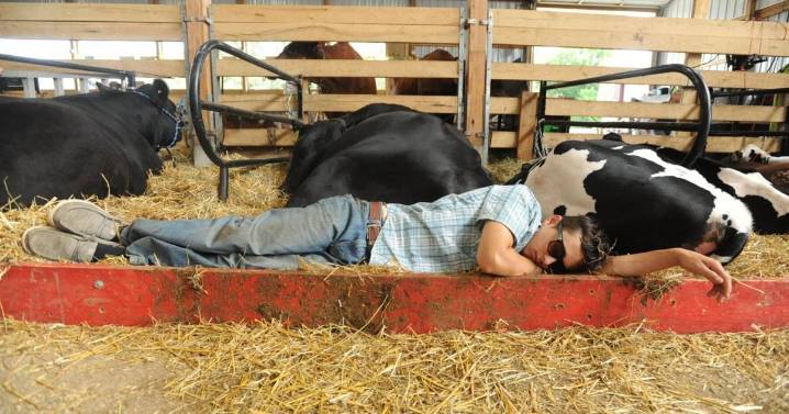 PHOTOS: Enjoying the week at Wyoming County Fair