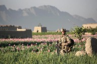Petition revives campaign to award Victoria Cross to Afghan war veterans