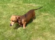 Mystery around Tanya Burr and Jim Chapman’s dog Martha finally revealed