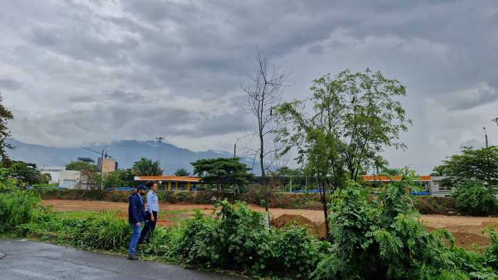Presunto ecocidio en Brisas de los Álamos: la comunidad denuncia destrucción de bosque y humedal