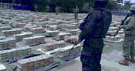 PNP incauta 50 kilos de hoja de coca en operativo en Antauta, Puno