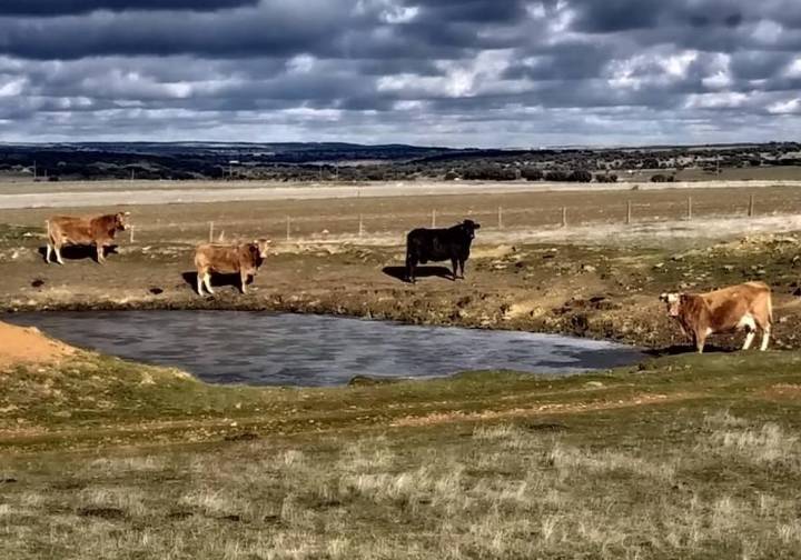 El refrán de las cabañuelas alerta del cambio que llega esta semana: «Para ir de fiesta por Santa Tecla...»