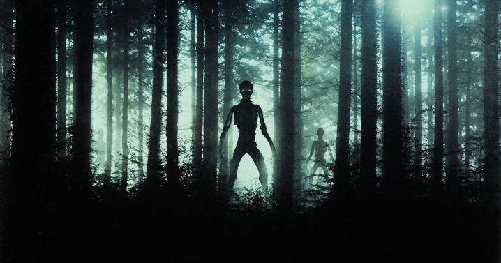 Boris Becker's lawyer to release bombshell book claiming aliens ‘co