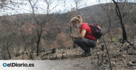 ¿Puede la vegetación recuperarse por sí sola después de un gran incendio?