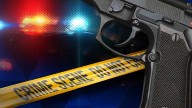 Georgia: 14-year-old girl shot, killed in home, police say