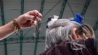 ¿Caída de cabello? Cuida tu alimentación y ayuda a fortalecerlo con estos alimentos