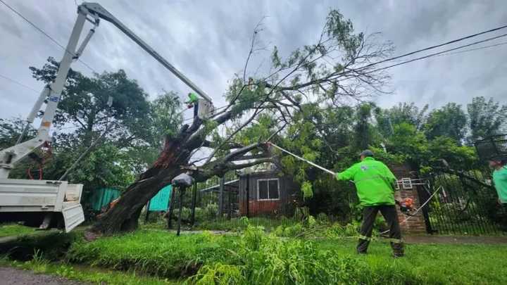 No falla: se espera que sea intensa la tormenta de Santa Rosa