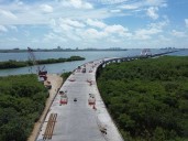SICT: Puente Nichupté ha permitido el rescate y reubicación de 2 mil 125 especies