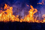 Risk for Mortality Higher Based on Wildfire PM2.5 Than Total PM2.5