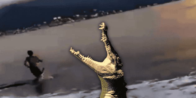 Cocodrilo ataca a joven en plena playa de Puerto Vallarta (VIDEO)