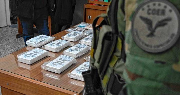 Liberaron a la imputada clave por los casi 11 kilos de cocaína en Roca: droga, contradicciones y caución