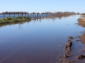 Inundaciones en el centro bonaerense: hay más de un millón de hectáreas bajo el agua y reclaman  medidas