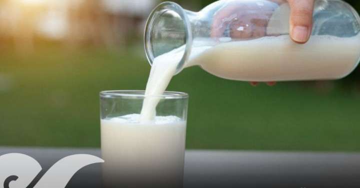 Planea gobierno instalar Planta de Leche para el Bienestar en la región de Cholula