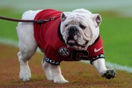 Georgia Bulldogs vs Marshall football free streaming guide: TV channel, time, odds