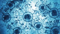 Plague case confirmed in California: What to know about the rare disease
