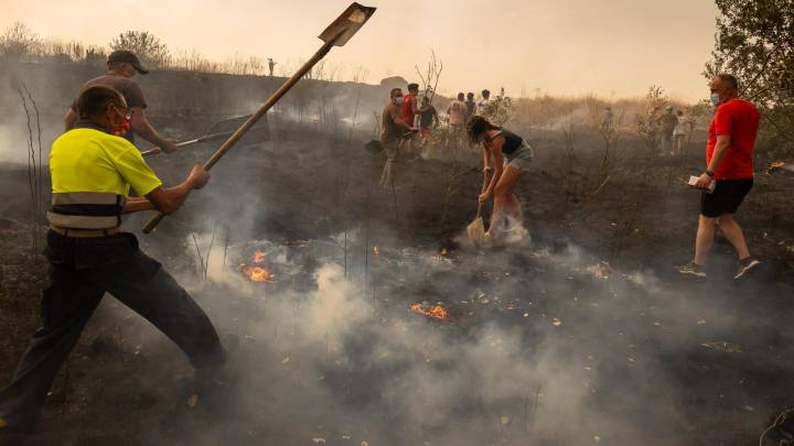Los ingenieros de Montes de CyL, tajantes sobre los incendios: “Hay un abandono rural y una insuficiente gestión”