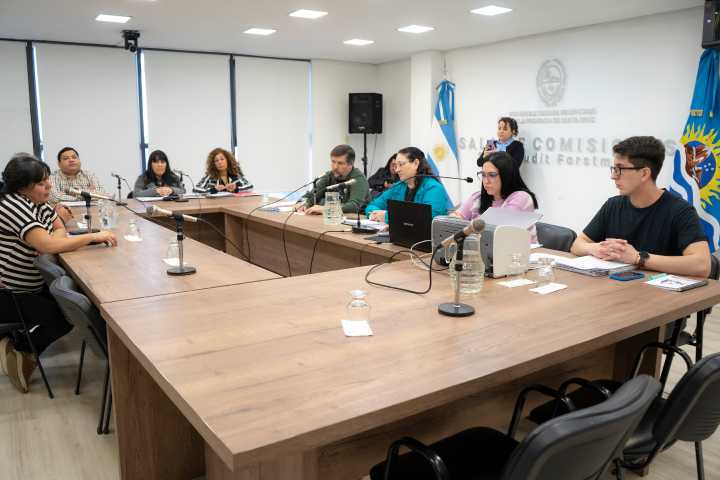 Avanza en comisiones el proyecto para ampliar de 5 a 9 la cantidad de vocales en el Tribunal Superior de Justicia