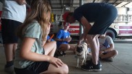 Levant Fire turns loss into learning with Spark Pug Academy
