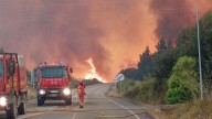 Castilla y León sufre la voracidad del fuego: así avanza la sucesión de incendios forestales en la Comunidad
