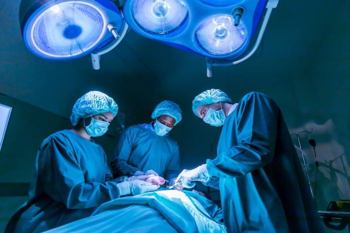 Realizan primer trasplante de pulmón de cerdo a humano