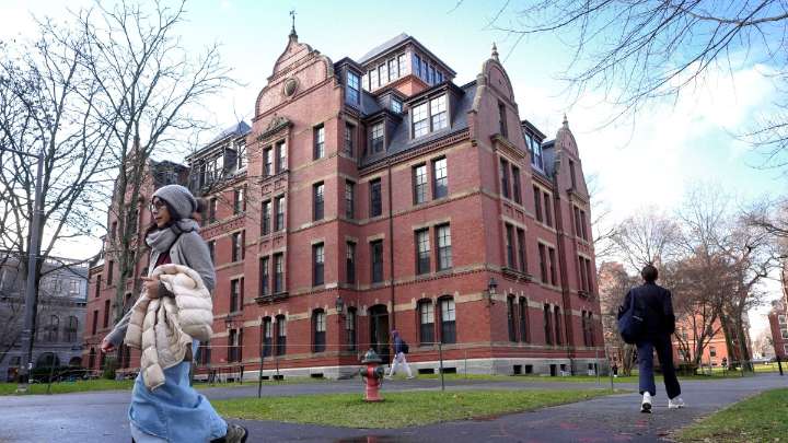 Harvard scientists say funding freeze will set research back
