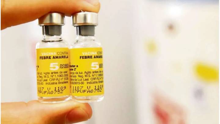 La vacuna contra la fiebre amarilla deja de ser gratuita en la mayoría de las provincias: qué pasa en Santa Fe