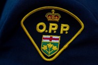 Police arrest neighbour after family dog shot and killed in Ontario