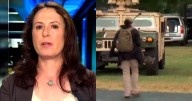 Maggie Haberman Calls BS on Trump for Declaring Emergencies to Grab Power