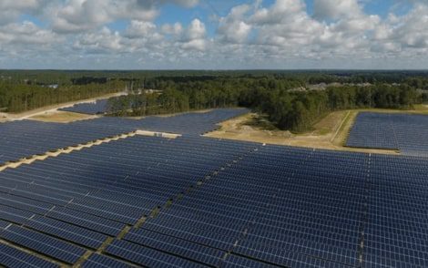Mississippi agriculture, energy officials support USDA’s rollback of solar subsidies on prime farmland