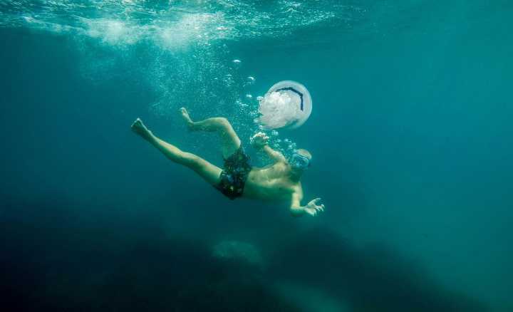 Hay un destino único en el que puedes nadar entre medusas sin miedo a picaduras