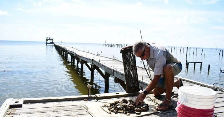 Oyster farmers, others trying stop dredge material placement in bay