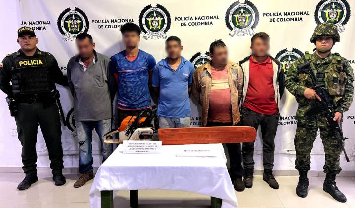 Becerril: capturan a cinco personas por tala ilegal de árboles y decomisan 223 postes de madera