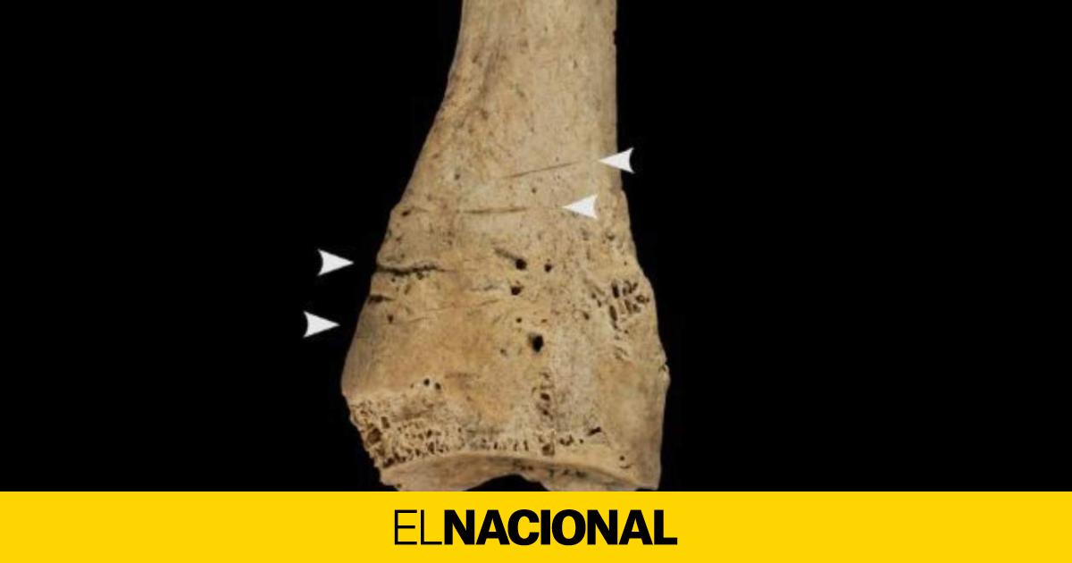 Qué nos explica el nuevo caso de canibalismo de hace unos 5.700 años encontrado en Atapuerca