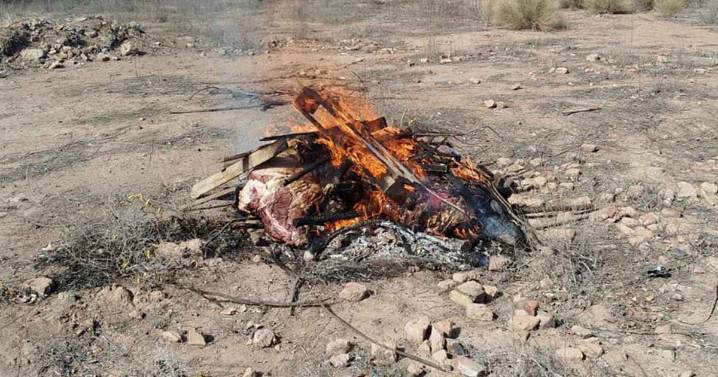 Cipolletti: incautaron carne de un matadero clandestino y multaron al dueño