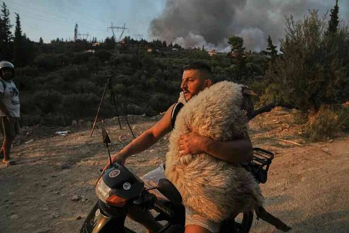 Wildfires blaze across southern Europe