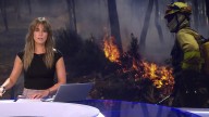 Informativos Telecinco | Edición mediodía, en vídeo (14-08-2025)