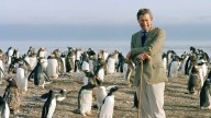 El rey Carlos III envió un mensaje a los isleños en el "Falklands Day"