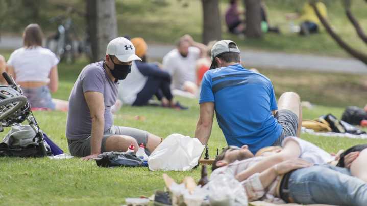 Urban greenspace a protective lifeline against COVID-19 depression, study suggests
