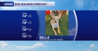 Your August 23 dog walking forecast