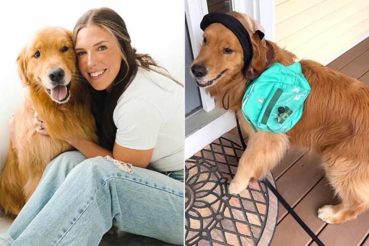 Golden Retriever Becomes the Star of Grandma’s Sleepover (Exclusive)