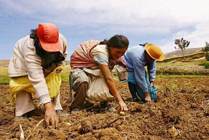 Congreso da luz verde a la modernización del agro peruano