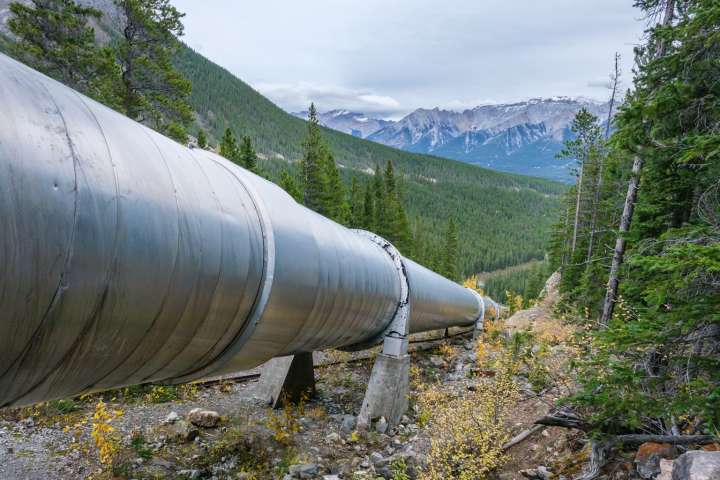 Enterprise Products Partners: Load Up While The Market Ignores (NYSE:EPD)
