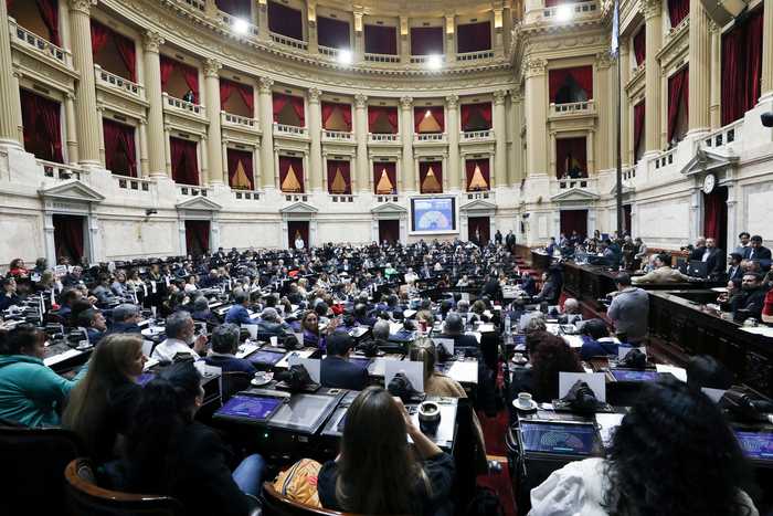 Congreso: Diputados de la oposición buscan voltear el veto de Milei a la Emergencia en Discapacidad